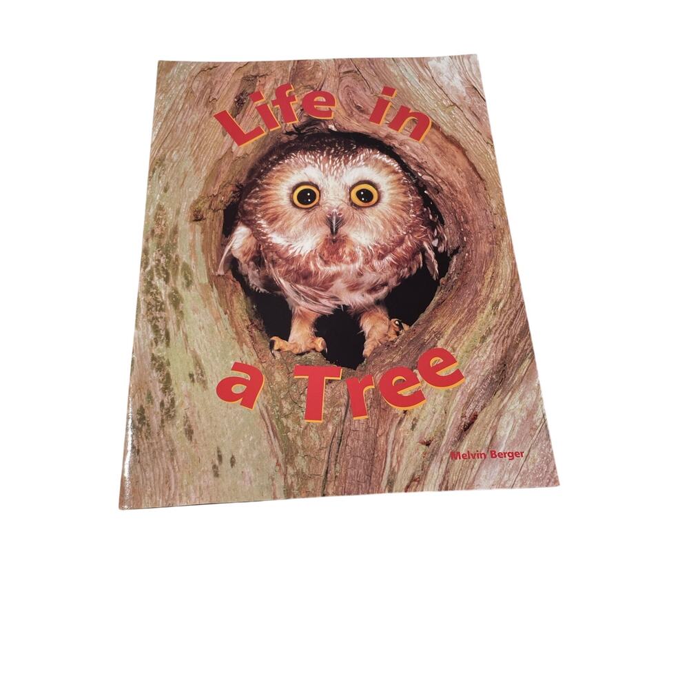 Vtg 1997 Life in a Tree Big Book Melvin Berger owl classroom educational